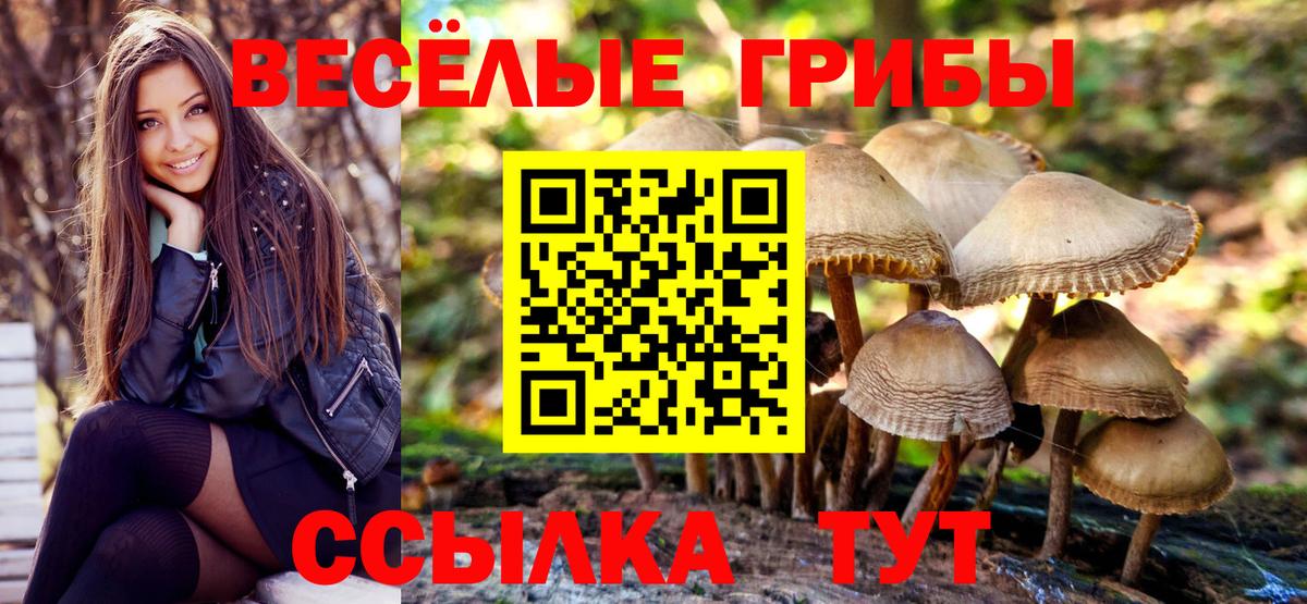 Старая Купавна  Галлюциногенные грибы Psilocybine cubensis  Вход с VPN 