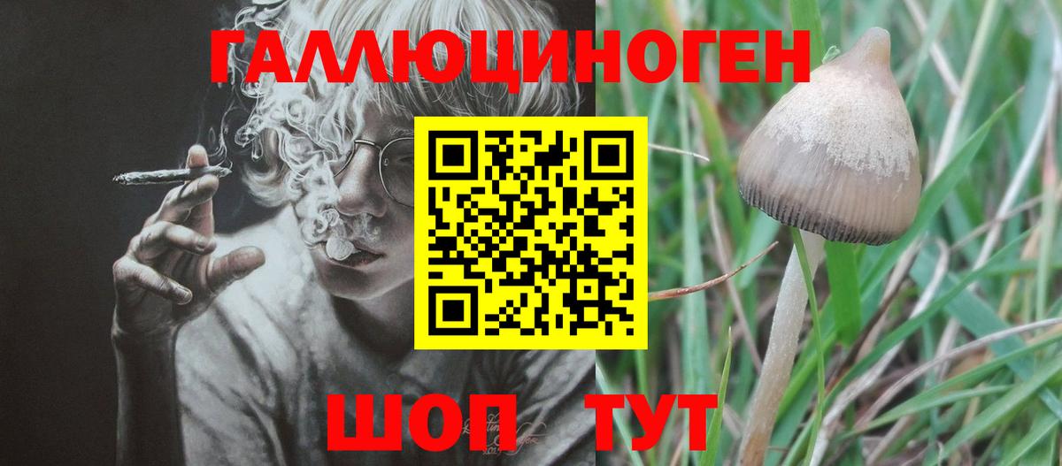 Псилоцибиновые грибы прущие грибы Старая Купавна